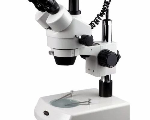 Stereo Microscope