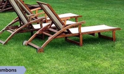 The Ultimate Guide to Tumbons: Meaning, Uses, Benefits & Modern Significance