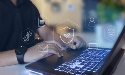 SparkPressFusion com: The Ultimate Platform for Content Creation, Publishing, and Digital Growth