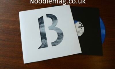 Bunkr Album Explained: Complete Guide, Features, Uses, and