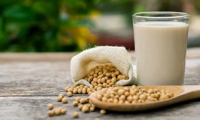 Insoya: Health Benefits, Nutrition, Uses, and Safety