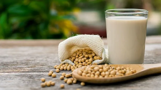 Insoya: Health Benefits, Nutrition, Uses, and Safety